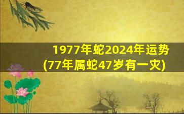 1977年蛇2024年运势(77年属蛇47岁有一灾)