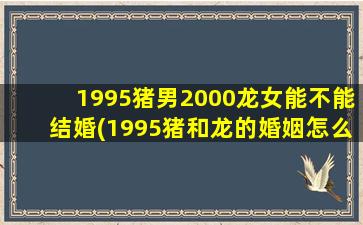 1995猪男2000龙女能不能结