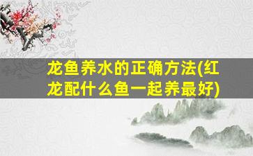 龙鱼养水的正确方法(红