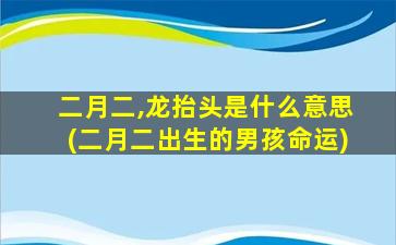 二月二,龙抬头是什么意思(二月二出生的男孩命运)