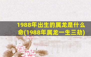 1988年出生的属龙是什么命(1988年属龙一生三劫)