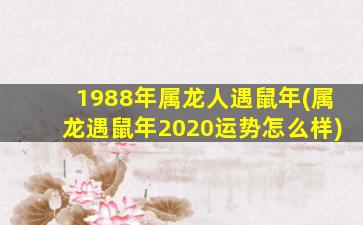 1988年属龙人遇鼠年(属龙遇鼠年2020运势怎么样)