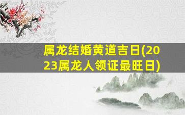 属龙结婚黄道吉日(2023属