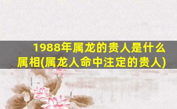 1988年属龙的贵人是什么属相(属龙人命中注定的贵人)