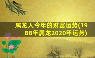 属龙人今年的财富运势(1988年属龙2020年运势)