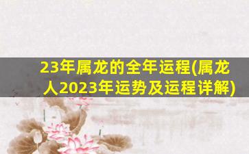 <strong>23年属龙的全年运程(属龙</strong>