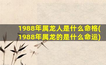 1988年属龙人是什么命格