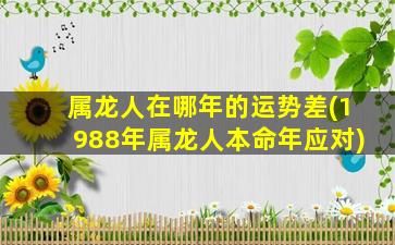 属龙人在哪年的运势差(1988年属龙人本命年应对)