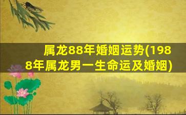 属龙88年婚姻运势(1988年