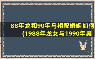 88年龙和90年马相配婚姻如何(1988年龙女与1990年男马婚配)