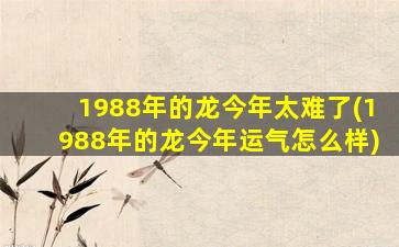 <strong>1988年的龙今年太难了(19</strong>