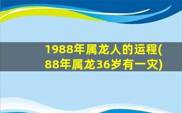 1988年属龙人的运程(88年