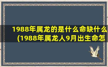 1988年属龙的是什么命缺什么(1988年属龙人9月出生命怎么样)