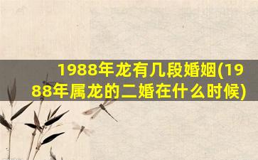 1988年龙有几段婚姻(1988年属龙的二婚在什么时候)