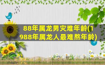 88年属龙男灾难年龄(19