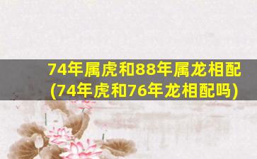 74年属虎和88年属龙相配(74年虎和76年龙相配吗)