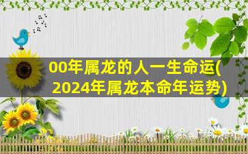 00年属龙的人一生命运(2024年属龙本命年运势)