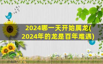 2024哪一天开始属龙(2024年的龙是百年难遇)