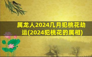 属龙人2024几月犯桃花劫运(2024犯桃花的属相)