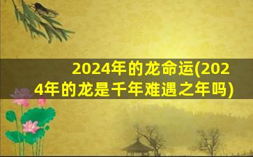 2024年的龙命运(2024年的龙