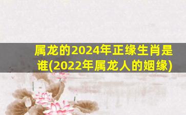 属龙的2024年正缘生肖是