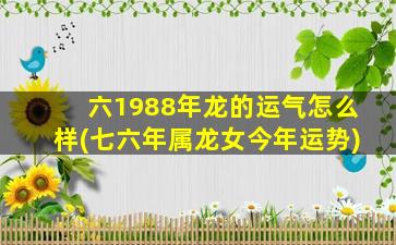 六1988年龙的运气怎么样