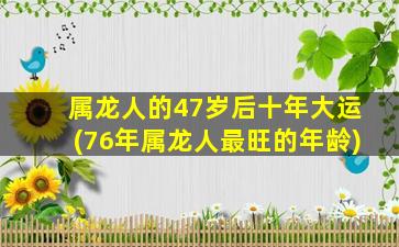 属龙人的47岁后十年大运(76年属龙人最旺的年龄)