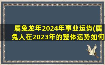 属兔龙年2024年事业运势