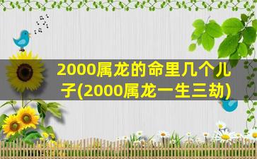 2000属龙的命里几个儿子