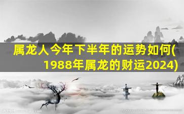 属龙人今年下半年的运势如何(1988年属龙的财运2024)