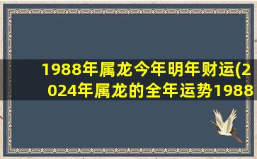 1988年属龙今年明年财运