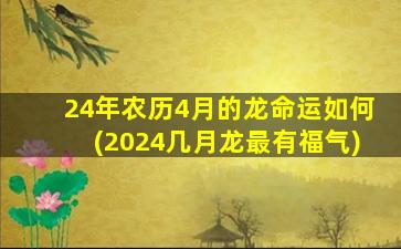 24年农历4月的龙命运如何