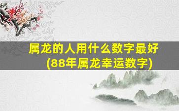 属龙的人用什么数字最好(88年属龙幸运数字)