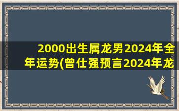 2000出生属龙男2024年全年运势(曾仕强预言2024年龙)