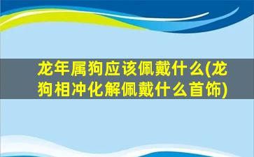 龙年属狗应该佩戴什么(龙狗相冲化解佩戴什么首饰)