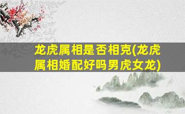 龙虎属相是否相克(龙虎