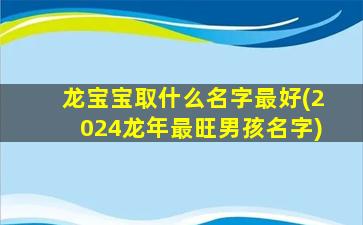 龙宝宝取什么名字最好(2024龙年最旺男孩名字)