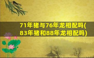 71年猪与76年龙相配吗(