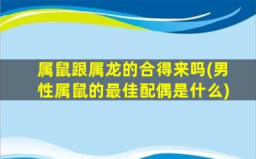 属鼠跟属龙的合得来吗(男性属鼠的最佳配偶是什么)