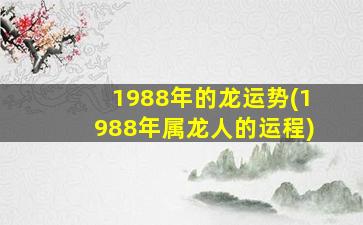 1988年的龙运势(1988年属龙人的运程)