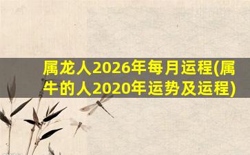 属龙人2026年每月运程(属