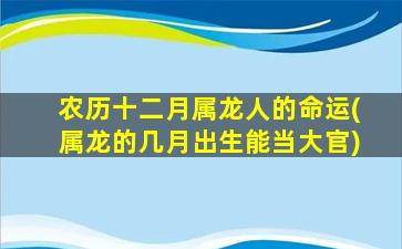 农历十二月属龙人的命运(属龙的几月出生能当大官)