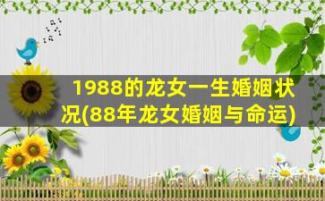 1988的龙女一生婚姻状况(88年龙女婚姻与命运)