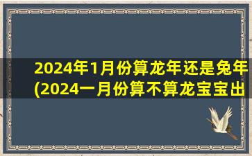 2024年1月份算龙年还是兔