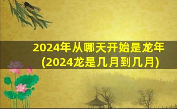 2024年从哪天开始是龙年