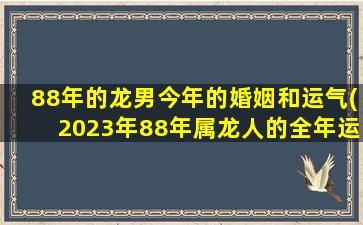 88年的龙男今年的婚姻和运气(2023年88年属龙人的全年运势)