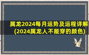 属龙2024每月运势及运程