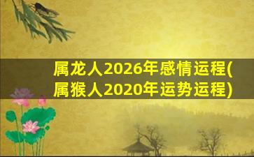 属龙人2026年感情运程(属猴人2020年运势运程)