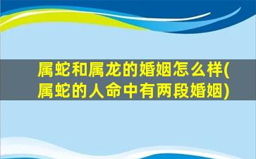 属蛇和属龙的婚姻怎么样(属蛇的人命中有两段婚姻)