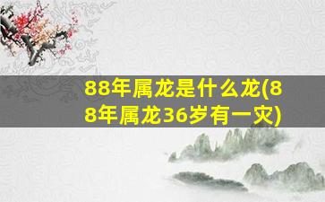 88年属龙是什么龙(88年属龙36岁有一灾)